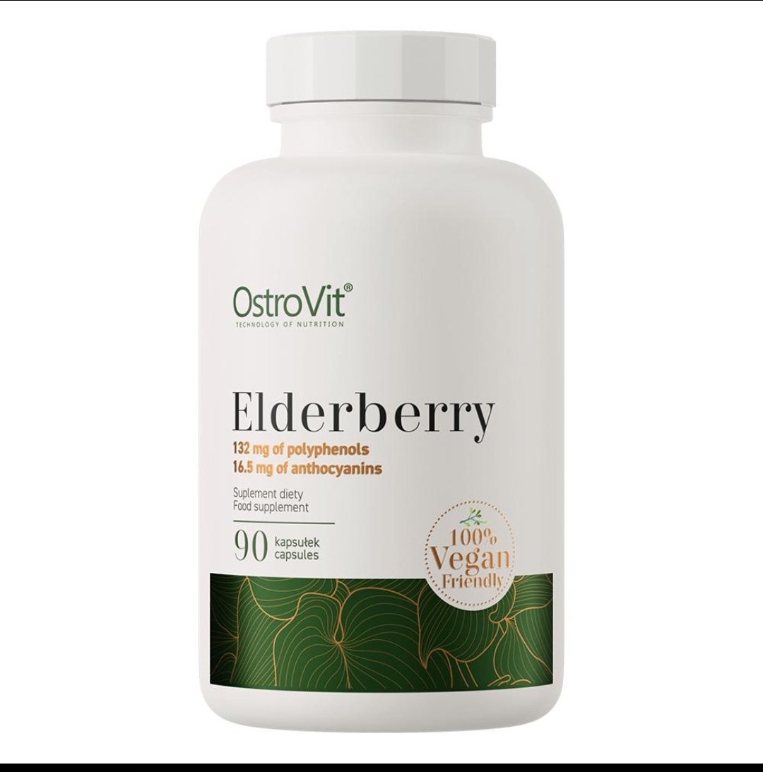 الدربری استروویت ۹۰ کپسول | OstroVit Elderberry