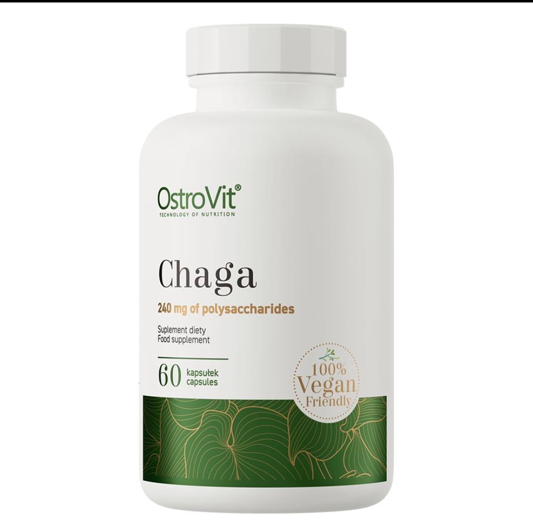 چاگا استروویت ۶۰ کپسول | OstroVit Chaga