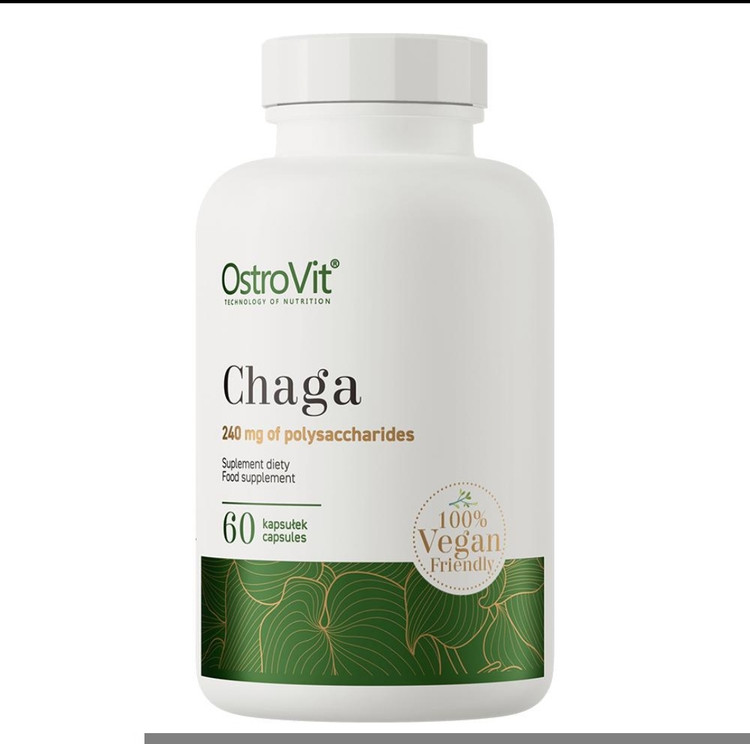 چاگا استروویت ۶۰ کپسول | OstroVit Chaga