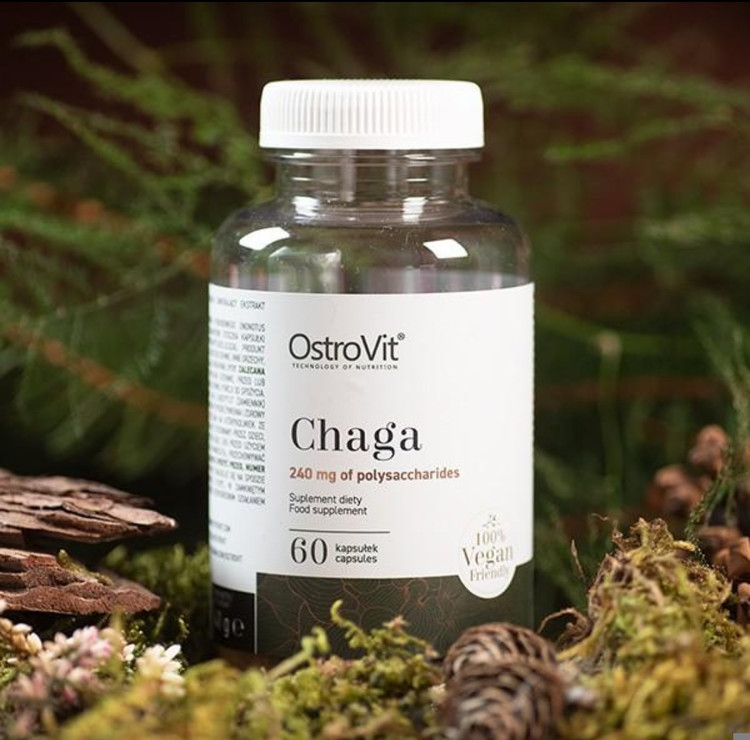 چاگا استروویت ۶۰ کپسول | OstroVit Chaga