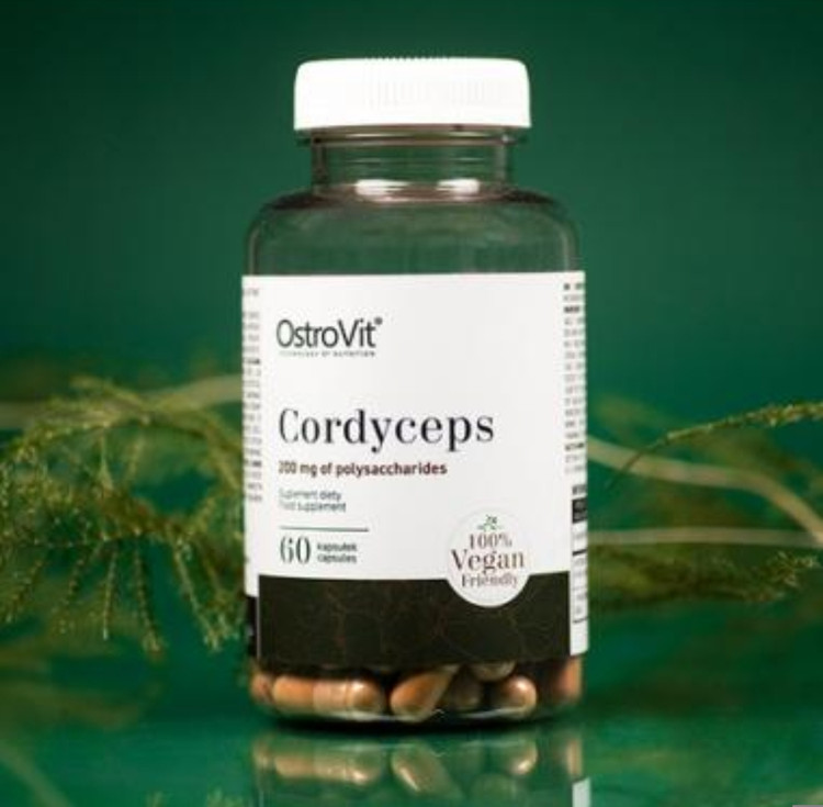 کوردیسپز استرویت ۶۰ عددی (AstroVit Cordyceps