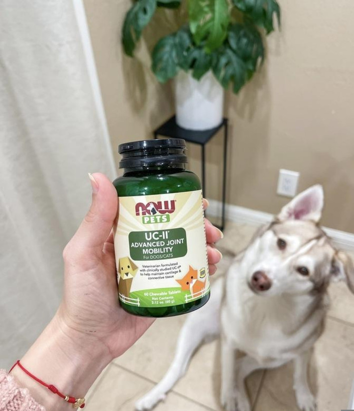 UC-II کلاژن مخصوص سگها NOW Pets – ۶۰ عدد جویدنیUC-II® Collagen Advanced Joint Mobility